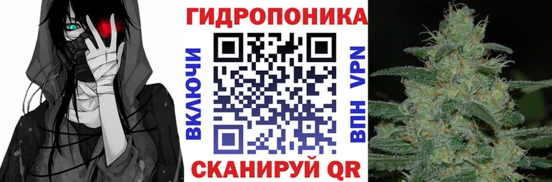 Бошки Шишки семена  закладка  Агидель 